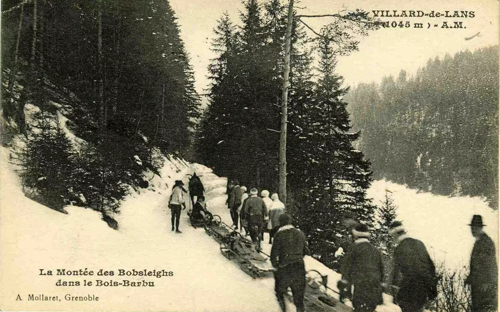 Carte postale, Villard-de- Lans : la montée des bobsleighs dans le Bois Barbu, sans date (9FI5394).