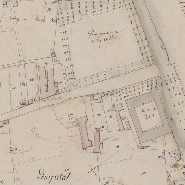 Détail du plan cadastral de Vienne 4P4/533 aux Archives départementales de l'Isère © Archives départementales de l'Isère