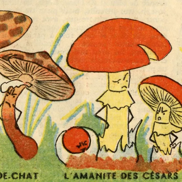 La semaine de Suzette © Collection privée