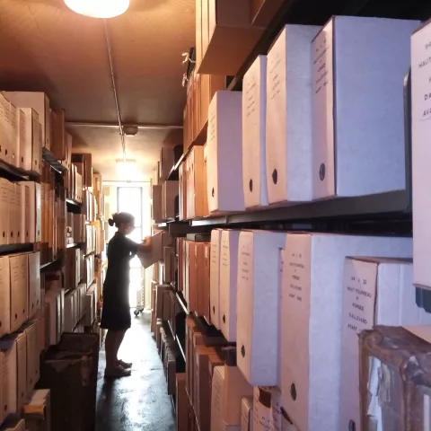 photo_recolement_2020