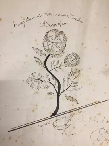 Détail du registre de recettes coté 3Q2/495 aux Archives départementales de l'Isère