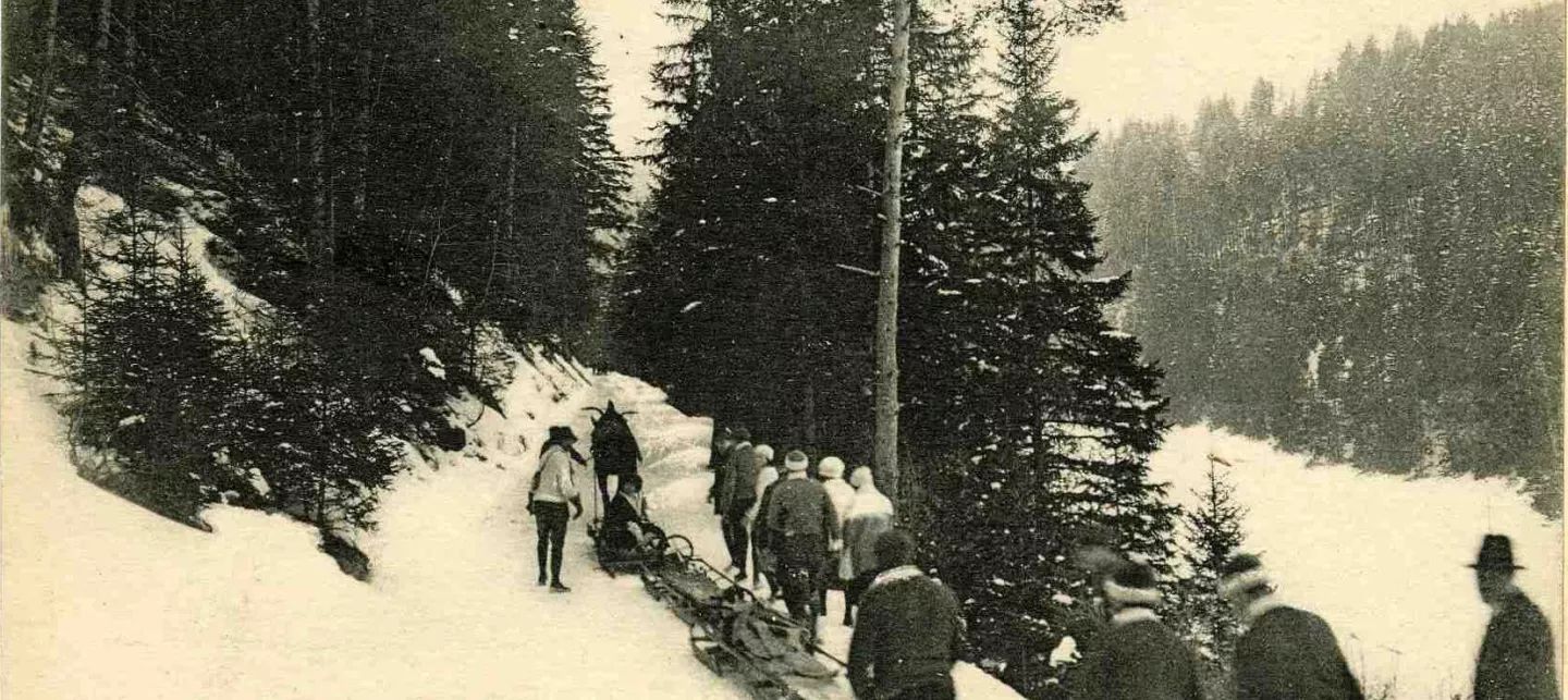Carte postale, Villard-de- Lans : la montée des bobsleighs dans le Bois Barbu, sans date (9FI5394).